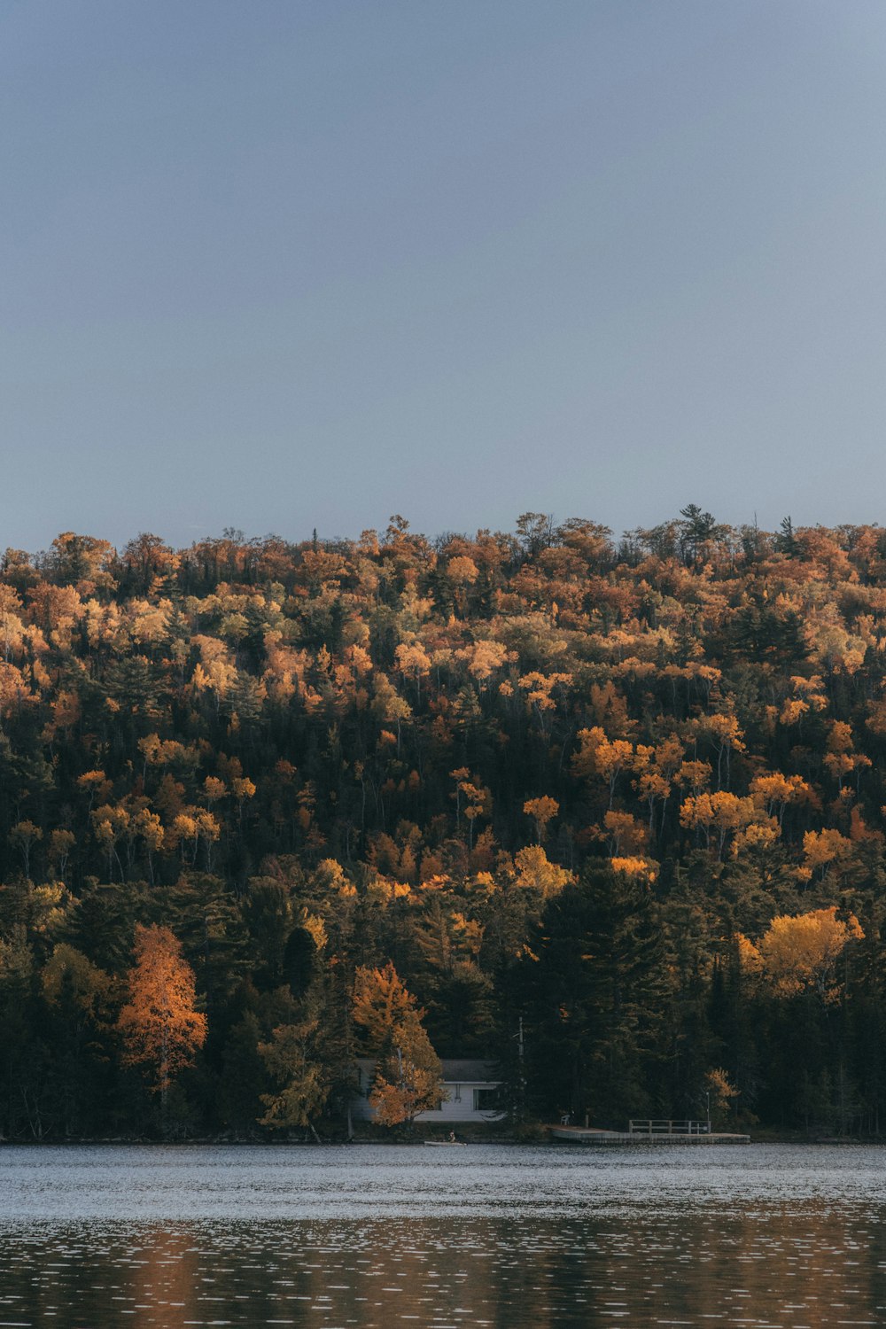 Small boat on a calm tree-lined lake